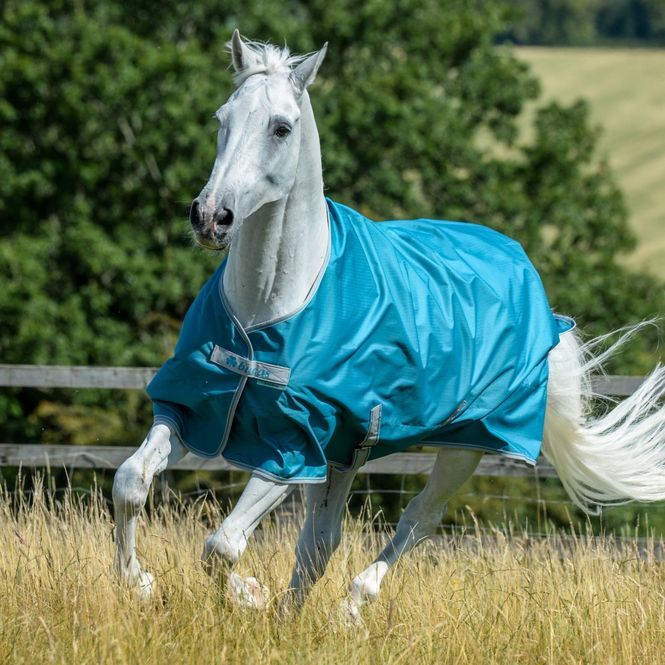 Hovedbilde Freedom Turnout Light Pony