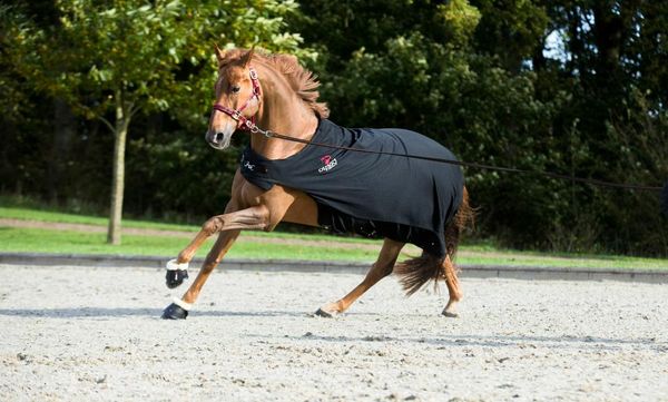 Hovedbilde Catago kopper merino