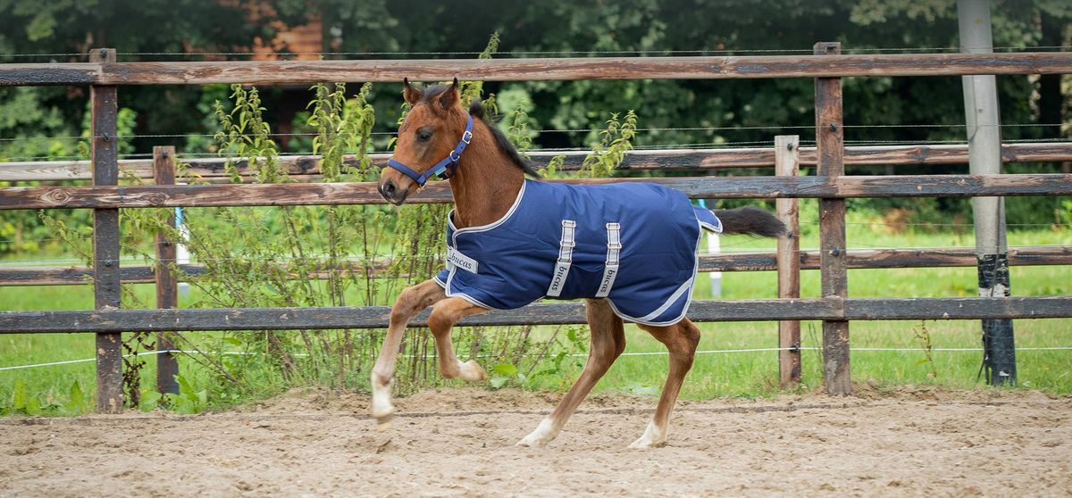 Følldekken Bucas 50 g