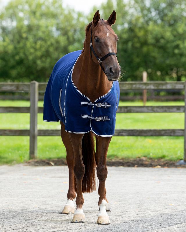 Basic fleece Navy