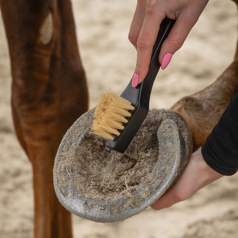 Royal Grooming Set – luksus børstesett til hest