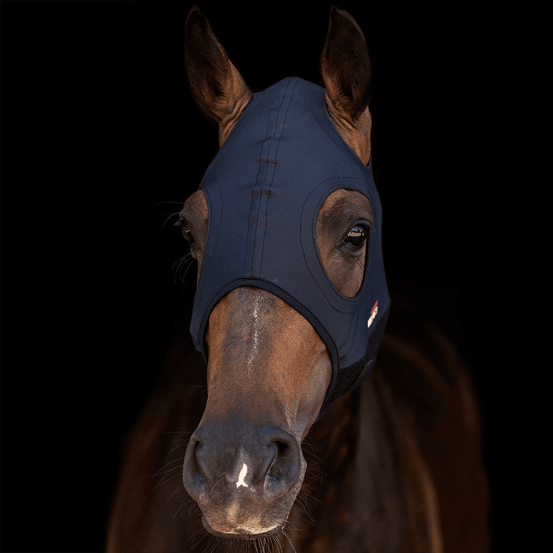 Titanium Mask