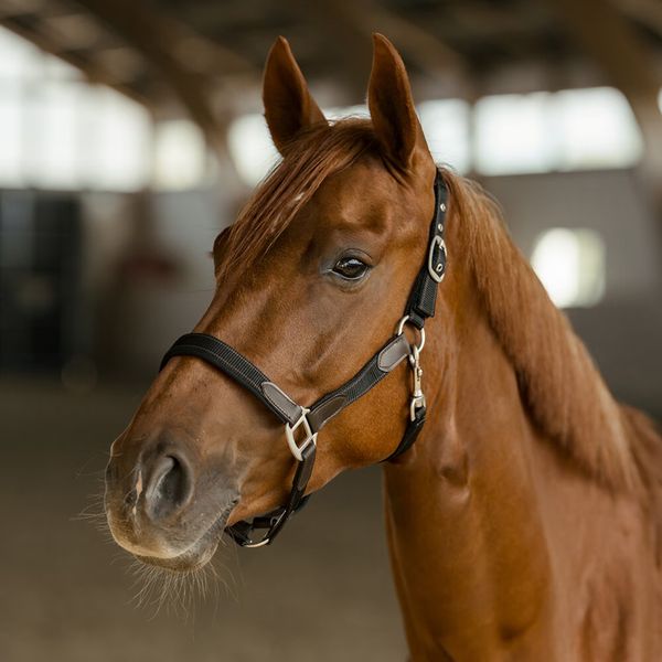 Hovedbilde HS Grime Edit