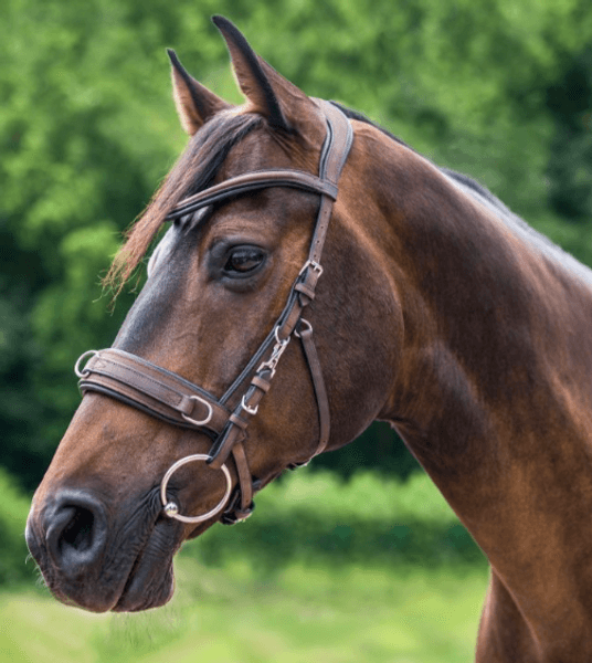 Hovedbilde Hodelag Anatomisk Cavesson ...